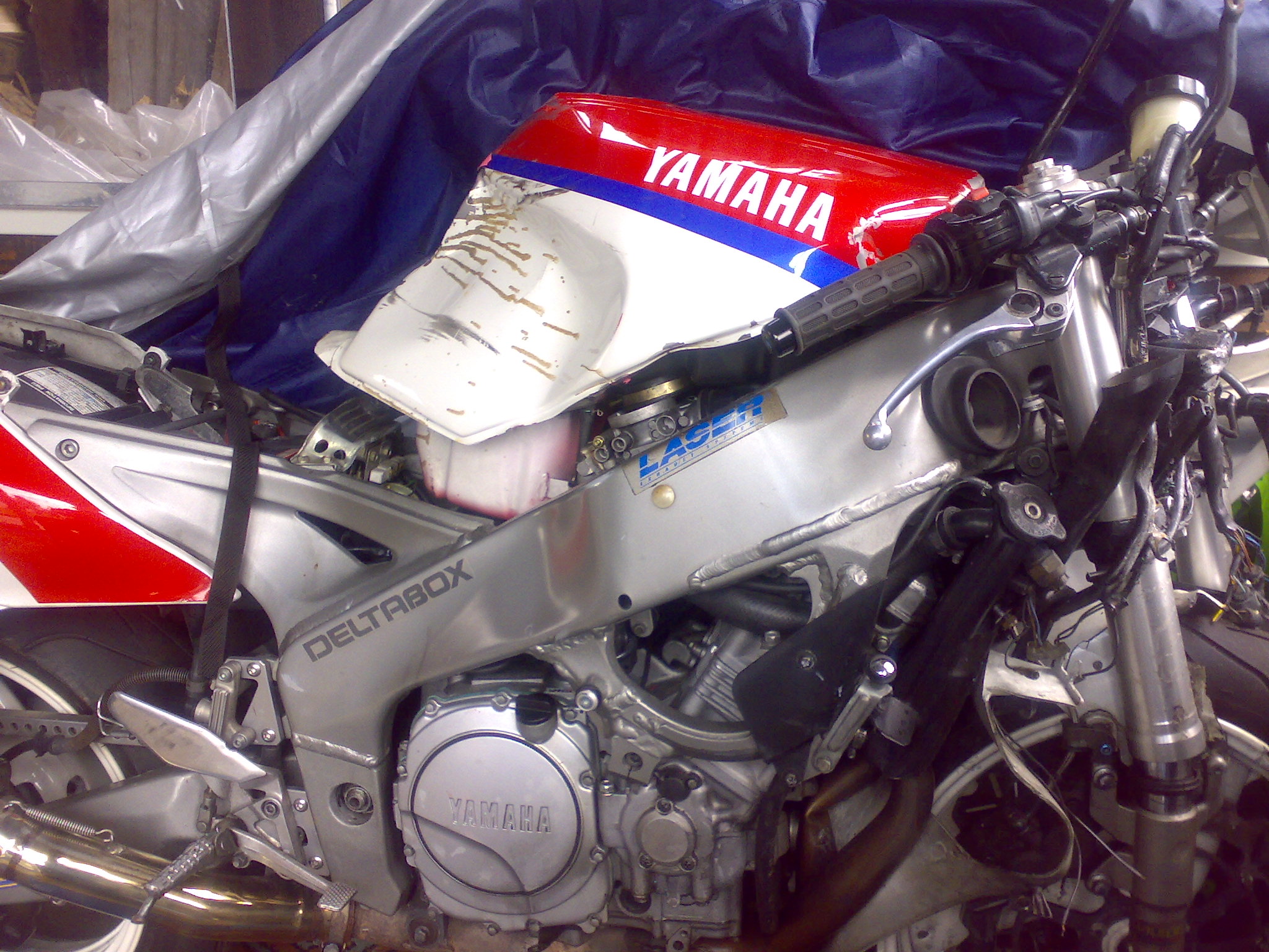 mein treues Moped